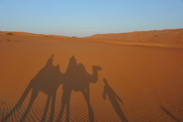 Sunrise Camel Trek