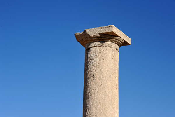 Column - Sanctuary of Apollo