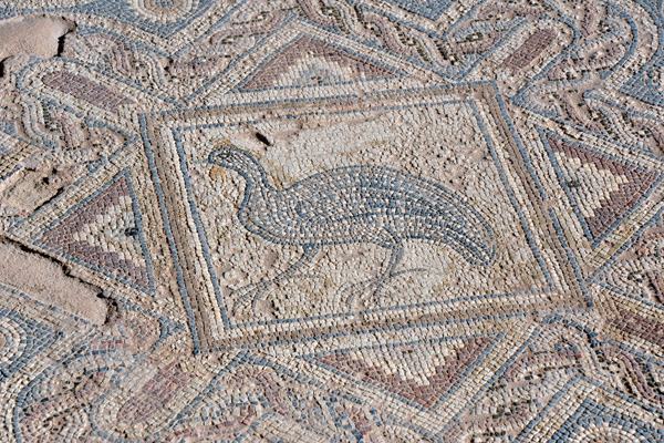 Partridge mosaic, House of Eustolios, Kourion
