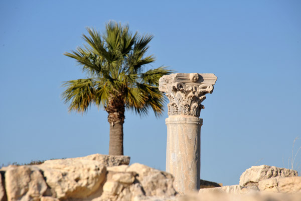 The Two Towers of Cyprus - the palm tree and the ancient column
