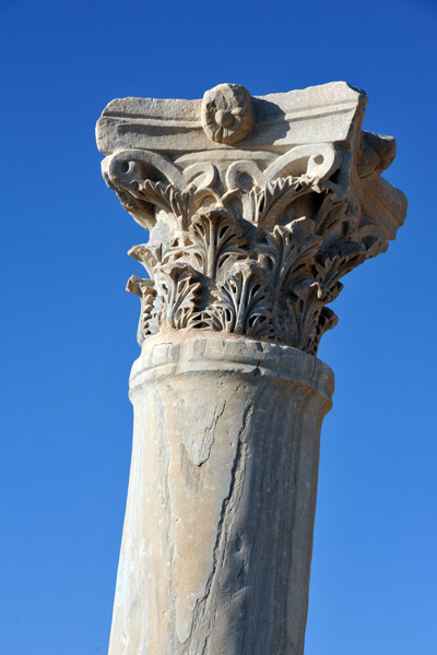 Corinthian column - Ancient Kourion