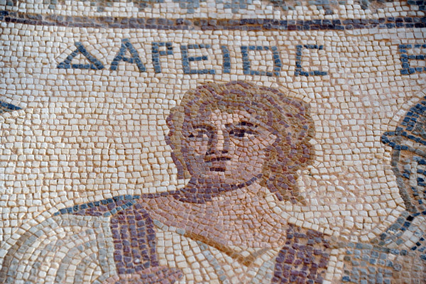Kourion Mosaic - House of the Gladiators - Dareios