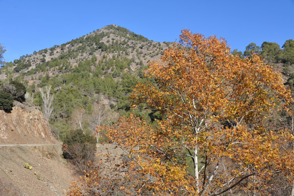 Fall foliage on the mountain track to Mylikouri