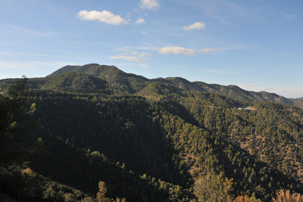 Forest covered Trodos Mountains near Kykkos Monastery