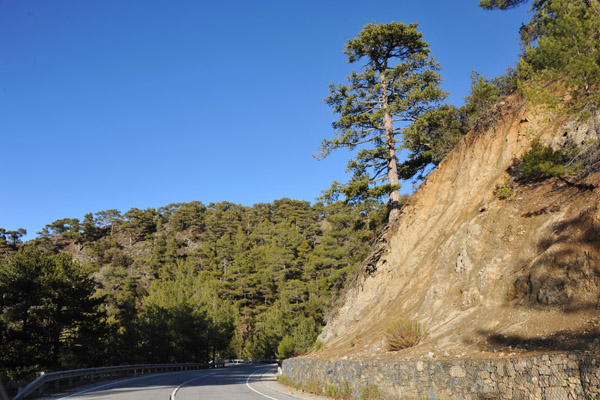 The road from Pedhoulas to Kakopetria