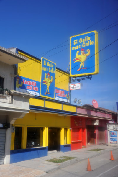 El Gallo Mas Gallo, Ocotepeque