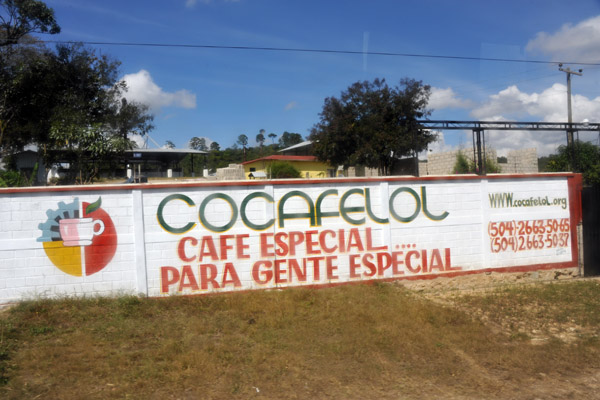 Cocafelol Cafe Especial