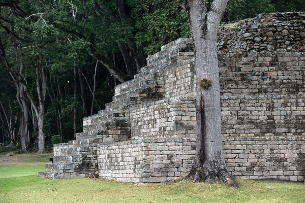 Temple 4 on the Great Plaza of Copan