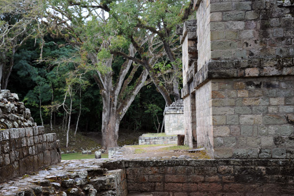 Temples at the base of the Acropolis, Copan