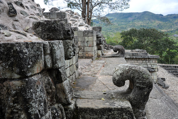 North side of the Patio de los Jaguares, Copan