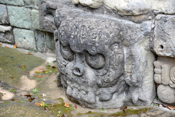 Large skull carving, Temple 22, Acropolis of Copan