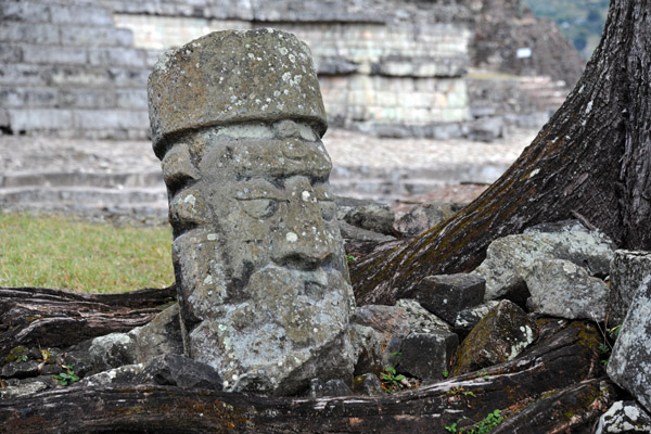 Statue entangled in the roots of a tree, Copan