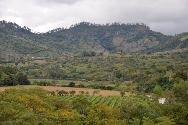 View of the countryside surrounding Copan