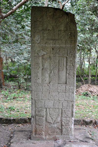 Stela J marking the northeastern boundary of the Royal Precinct