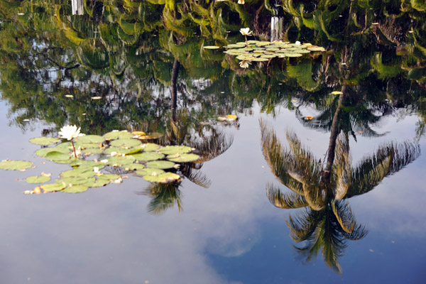 Reflections in the pool of the Garden of Meditation, Miami Beach Holocaust Memorial 