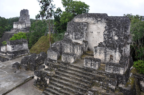 At the height of Tikal around 800 AD, there were 12 temples on the Northern Acropolis