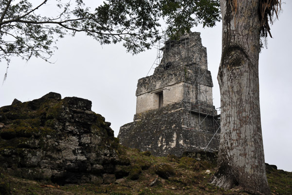 Tikal fell with the collapse of classical Maya civilization around 900 AD