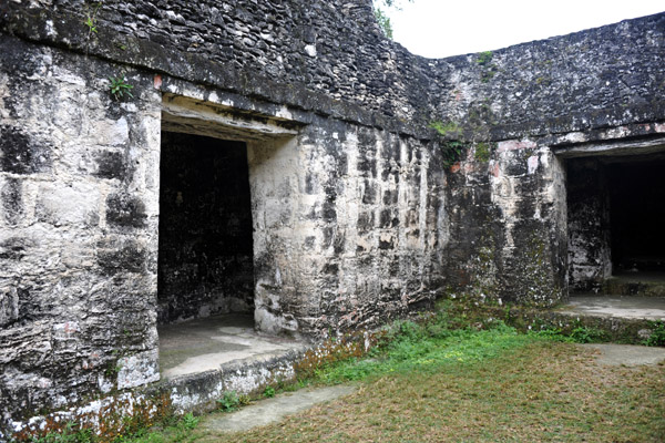 The Central Acropolis, just south of the Gran Plaza, may have been a residence for Tikal's nobility