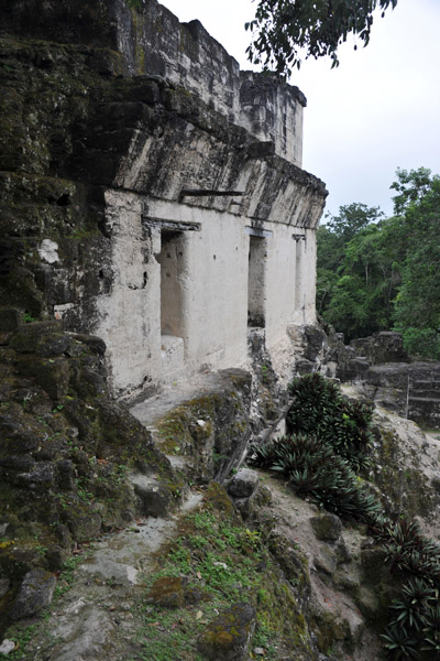 Central Acropolis, Tikal