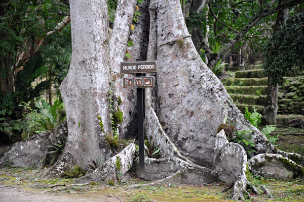 El Mundo Perdido - the Lost World, Tikal