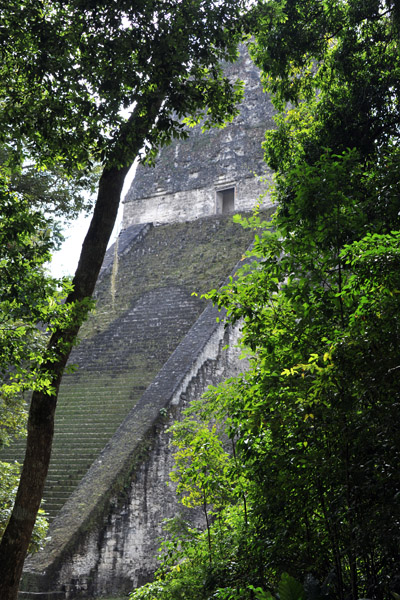 Temple V, Tikal