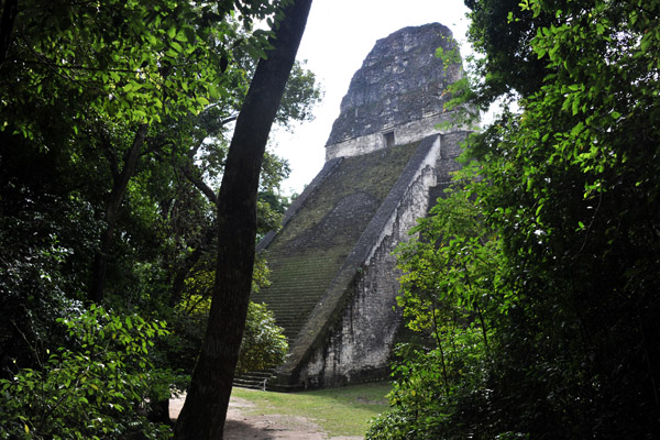 The 57m (187ft) tall Temple V to the south of the unexcavated Central Acropolis, Tikal