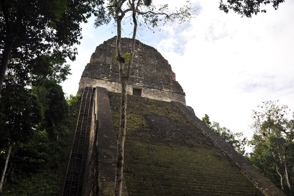 Temple V is the second tallest at Tikal, but it was not possible to climb during my visit