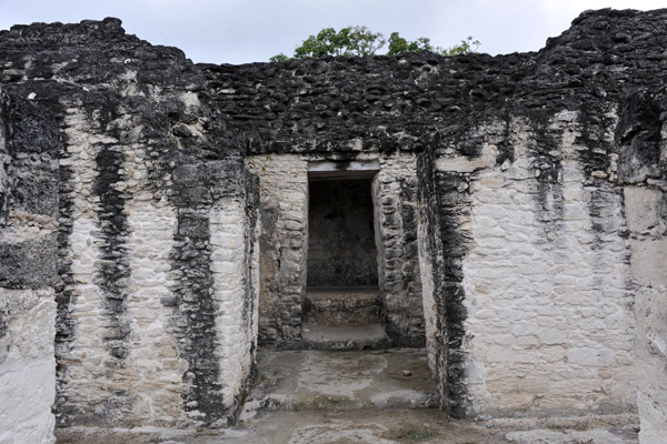 The first explorers found the lair of a jaguar in the summit shrine