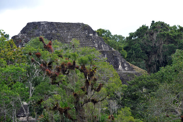 The Pyramid of the Lost City from the summit of the Talud-Tablero Temple