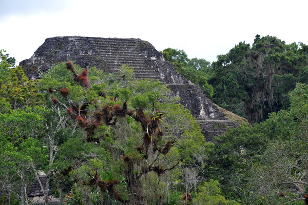 The Pyramid of the Lost City from the summit of the Talud-Tablero Temple 