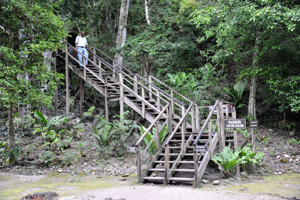 Stairs leading to the largest of Tikal's pyramids, Temple IV at the west end of the city