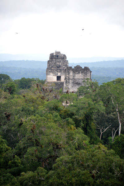 Temples I & II rise out of the jungle