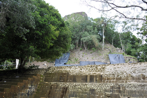 Excavation occurring at Temple IV in 2012