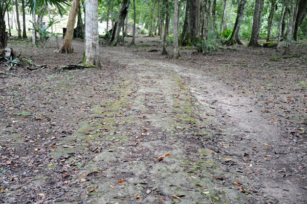 Following the Calzada Maudslay (causeway) NE from Temple IV leads to Complexes M & P