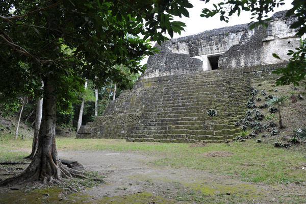 Complex P on the north side of Tikal