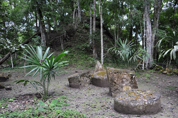 Unexcavated ruin covered in trees and some altar pieces