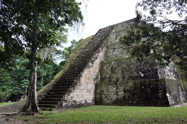 To get an idea of the size of Tikal, it's a 35 minute walk from Complex Q to the Gran Plaza