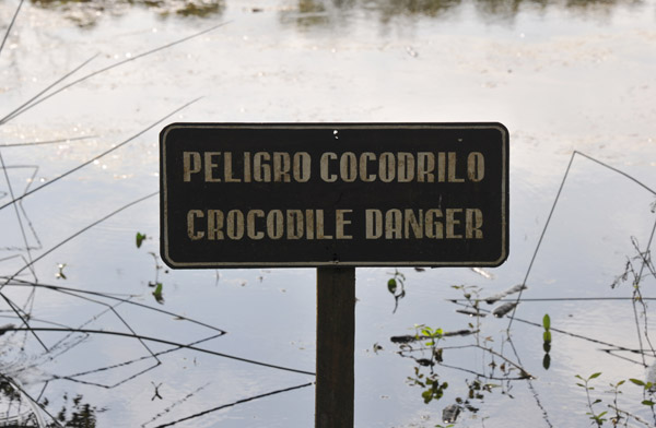 A pool in Tikal - Danger Crocodiles!