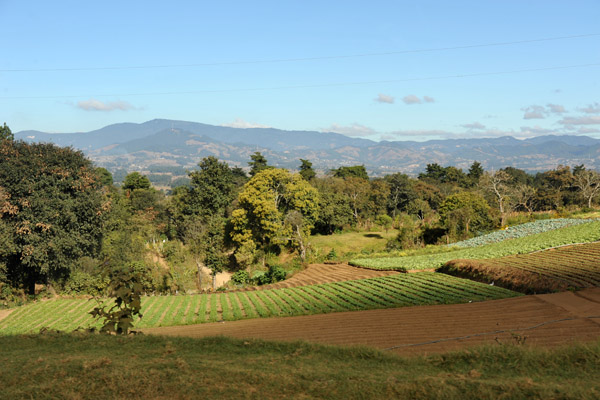 Agriculture in the Guatemalan highlands along the Panamericana