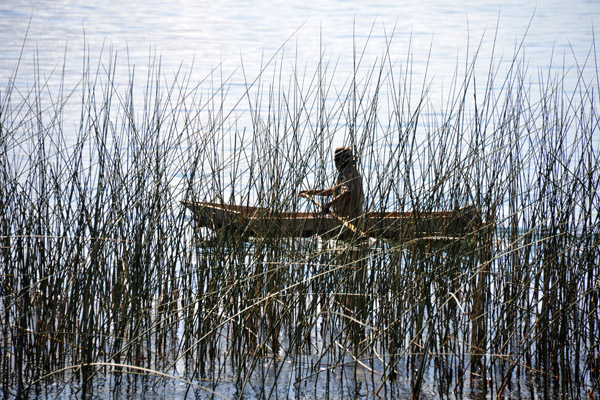 Paddler through the reeds, San Marcos La Laguna
