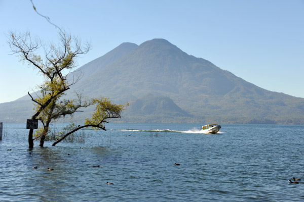 With no outlet, the lake level is currently very high, drowning some of the trees that were along the shore