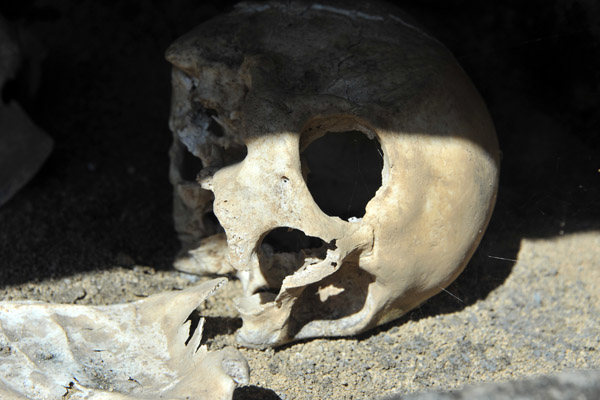 Skull - human remains in the cemetery of Santo Domingo
