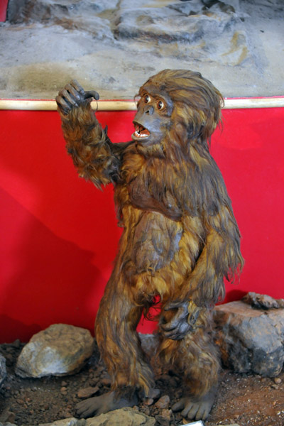 Prehistoric African Hominid Child