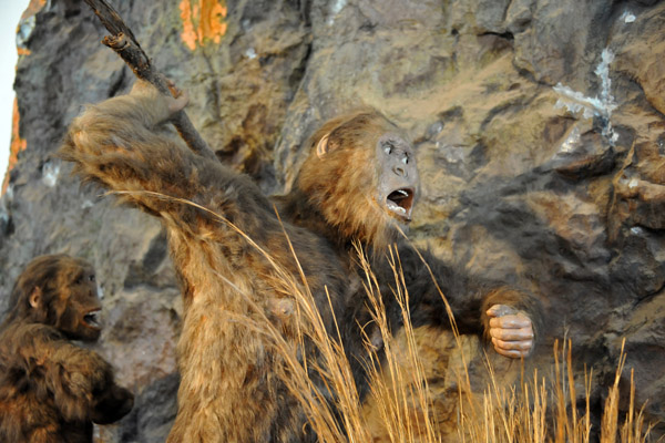 Prehistoric African Hominids - Plio-Pleistocene Palaeontology, South African National Museum of Natural History