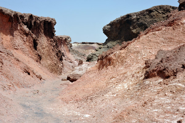 Wadi Walk - Geology of Sir Bani Yas