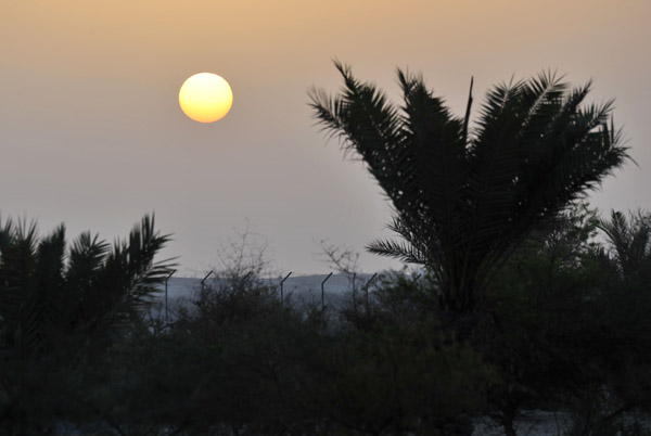Abu Dhabi Mar12 0766.jpg