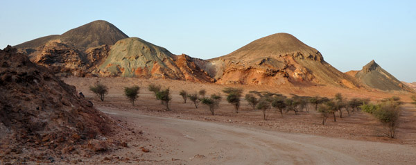 Abu Dhabi Mar12 0804.jpg