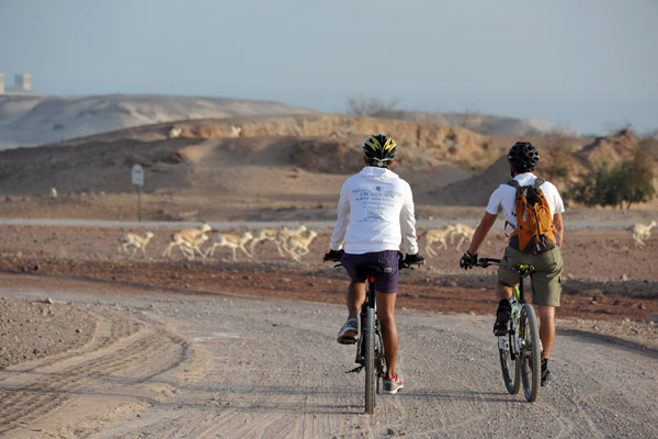 Abu Dhabi Mar12 0821.jpg