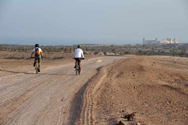 Abu Dhabi Mar12 0827.jpg