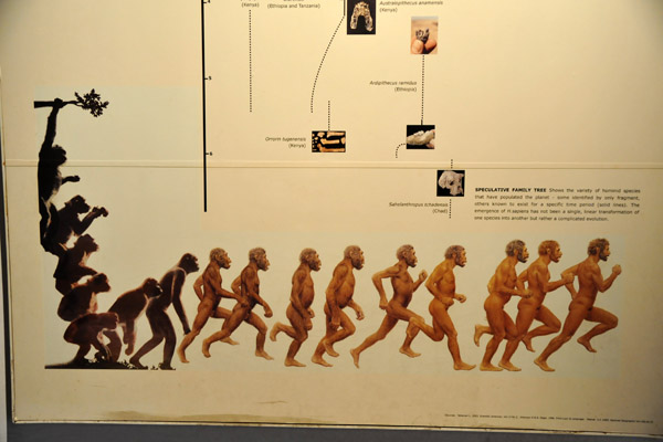 Speculative Family Tree, Colombo National Museum